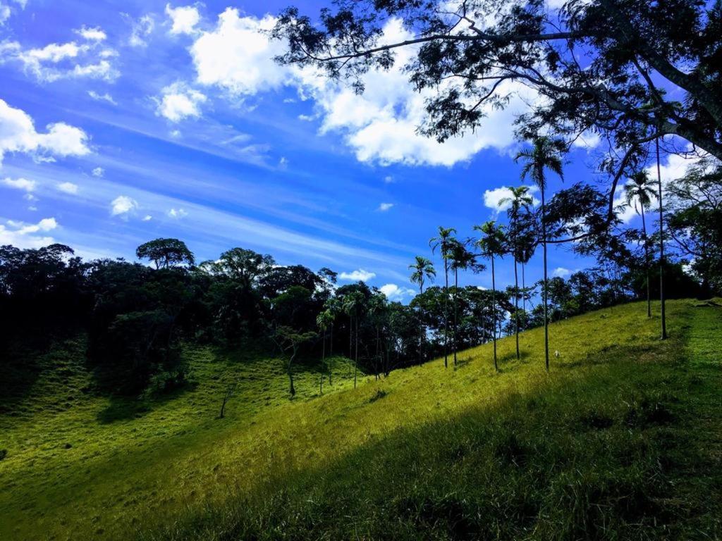 Casa/Sitio Na Serra Em Bom Jardim - Rj Екстер'єр фото